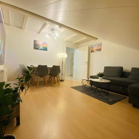 Deluxe Business Suite Mit Netflix Premium & Parkplatz, Zentral Zu Audi & Schwarz Gruppe With 2 Bedrooms 바트프리에드리히셸 외부 사진