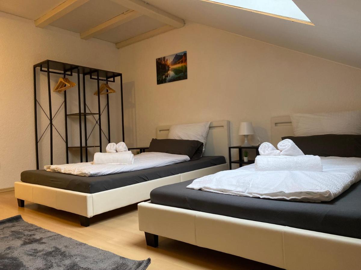 Deluxe Business Suite Mit Netflix Premium & Parkplatz, Zentral Zu Audi & Schwarz Gruppe With 2 Bedrooms 바트프리에드리히셸 외부 사진