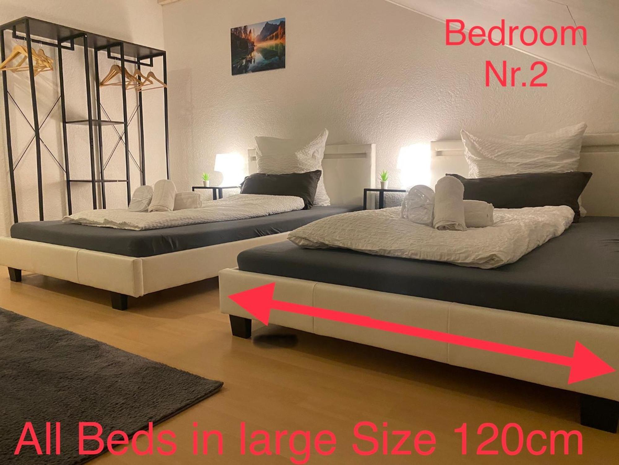 Deluxe Business Suite Mit Netflix Premium & Parkplatz, Zentral Zu Audi & Schwarz Gruppe With 2 Bedrooms 바트프리에드리히셸 외부 사진